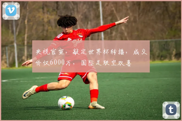 央视官宣,敲定世界杯转播,成交价仅6000万,国际足联空欢喜
